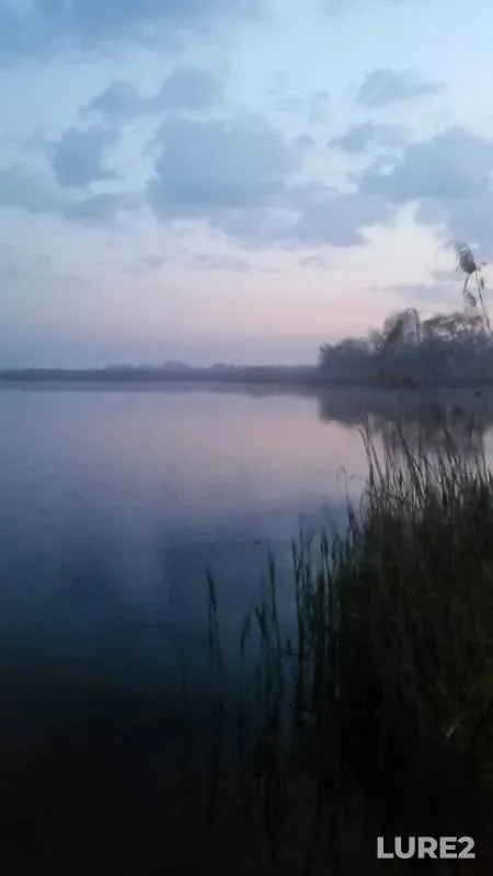 Карась