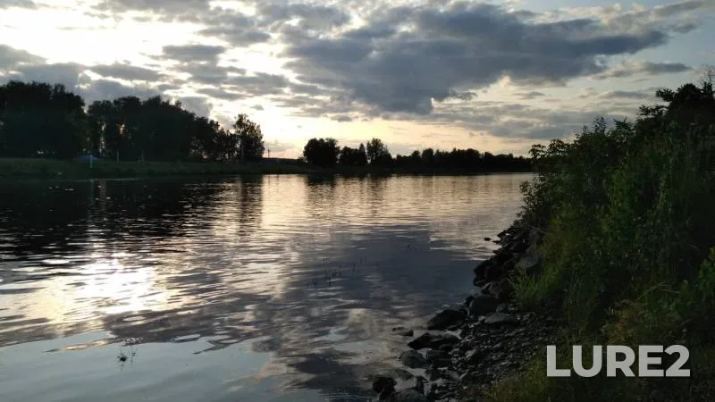 Окунь