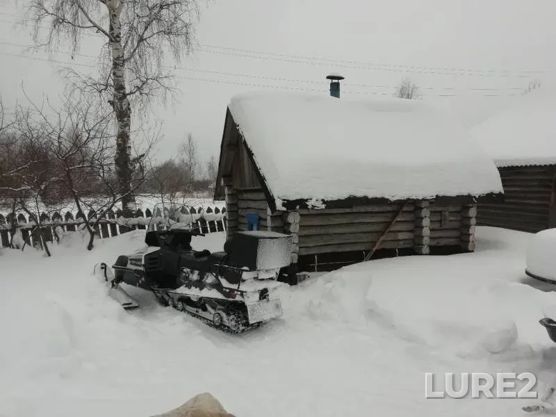 Окунь, Щука