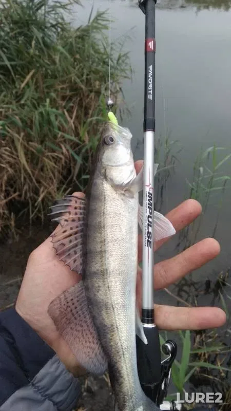 Судак
