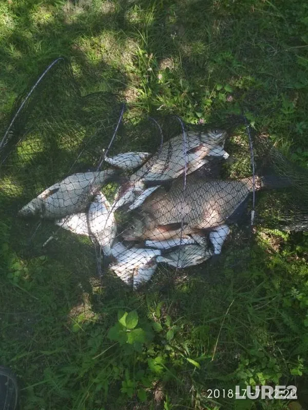 Лещ