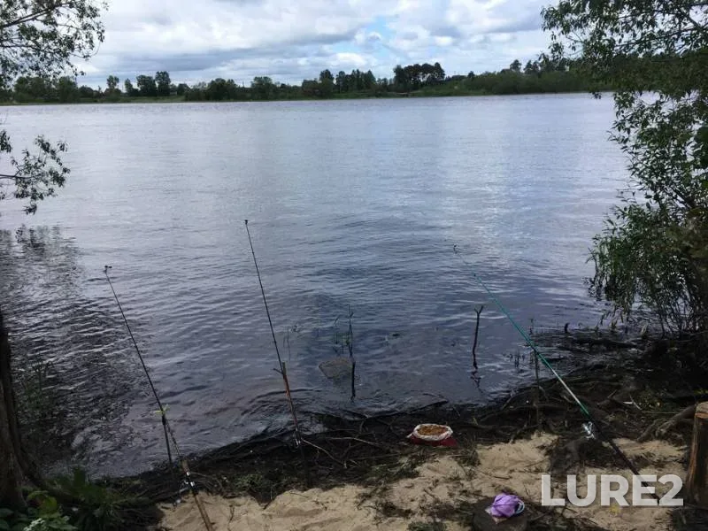 Окунь