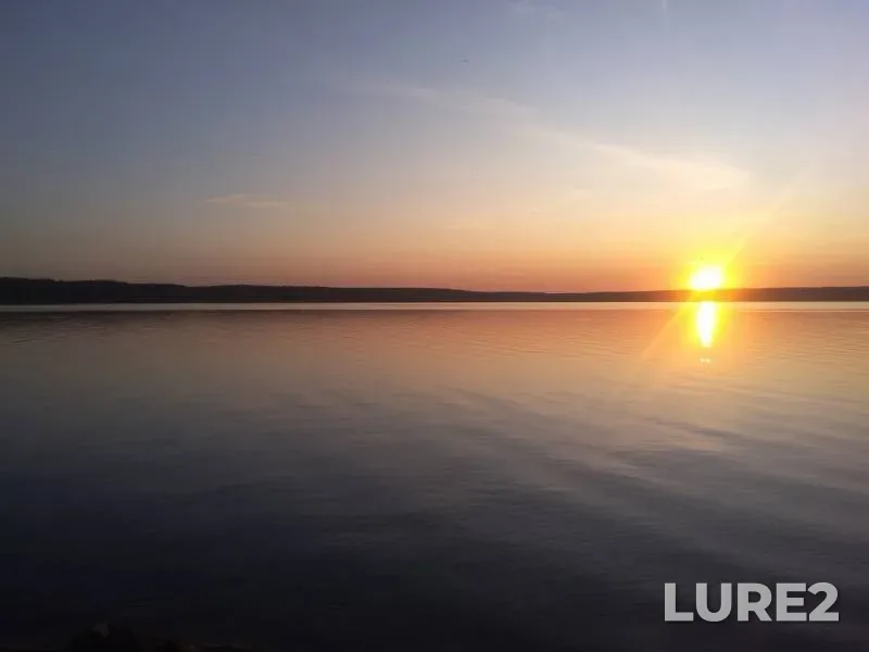 Лещ, Карась