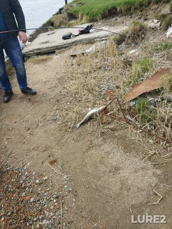 Судак