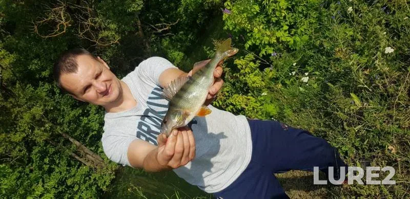 Окунь