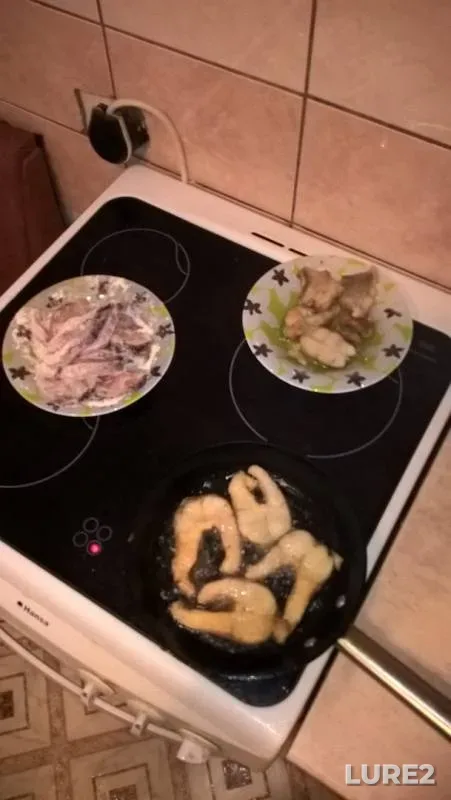 Щука
