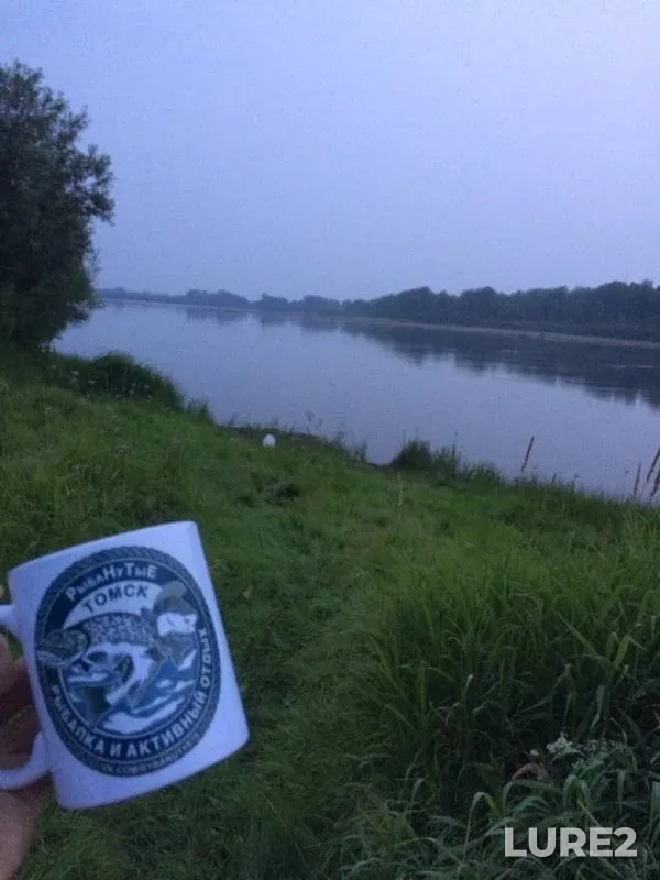 Окунь, Щука