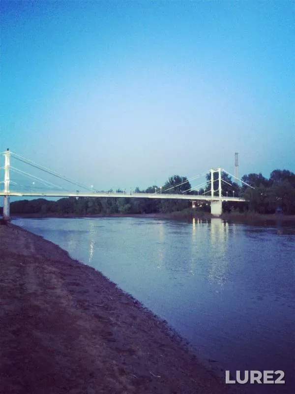 Лещ, Карась