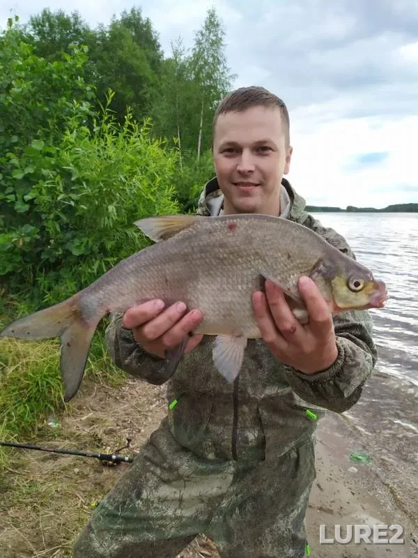 Лещ