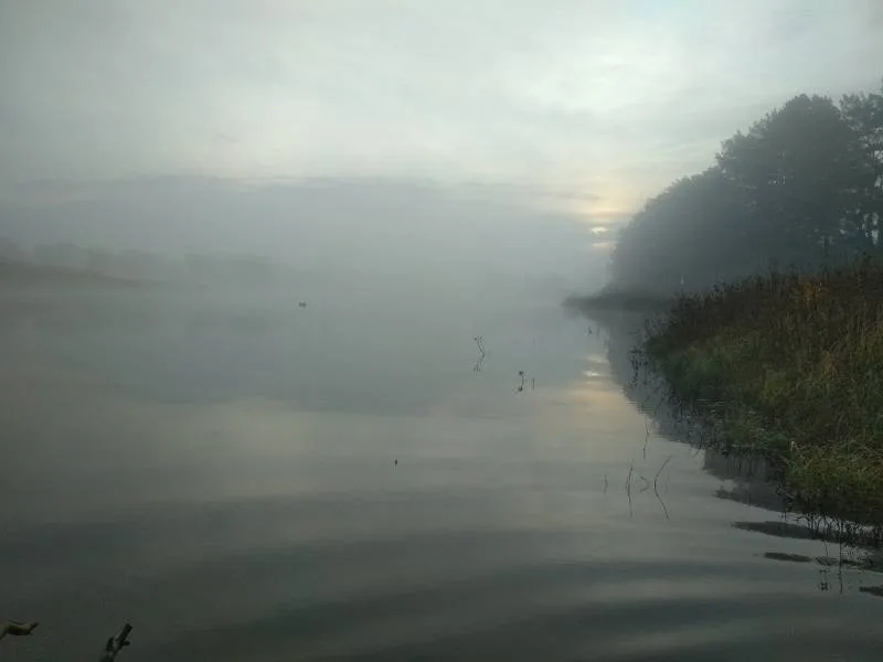 Окунь