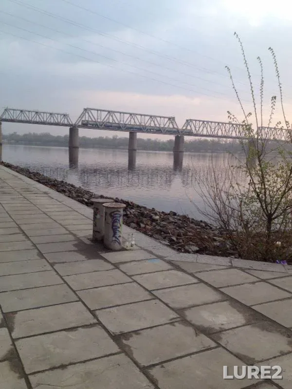 Жерех