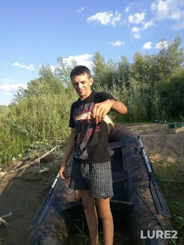 Голавль, Щука
