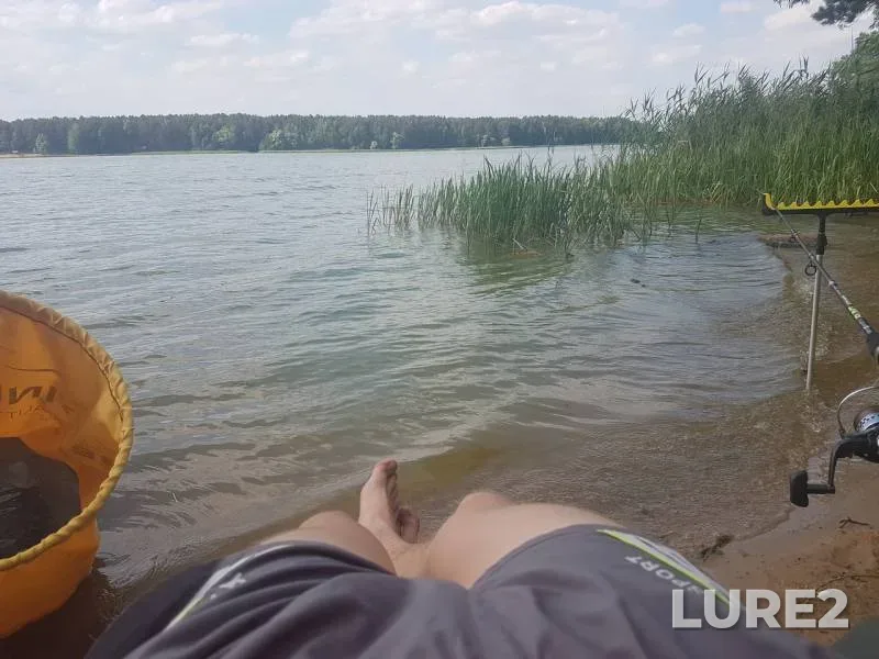 Лещ, Окунь — Гать, 19 июн. 2018 г.