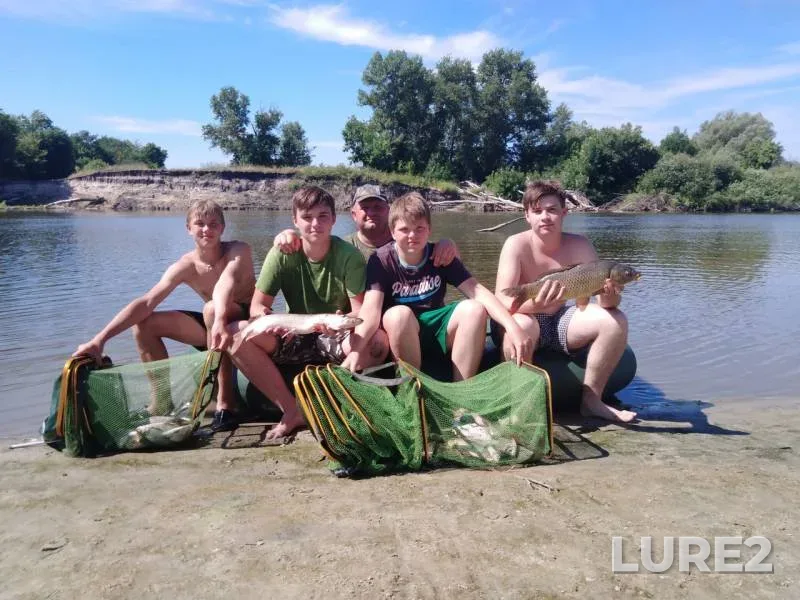 Лещ, Карась