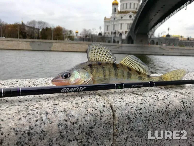 Окунь
