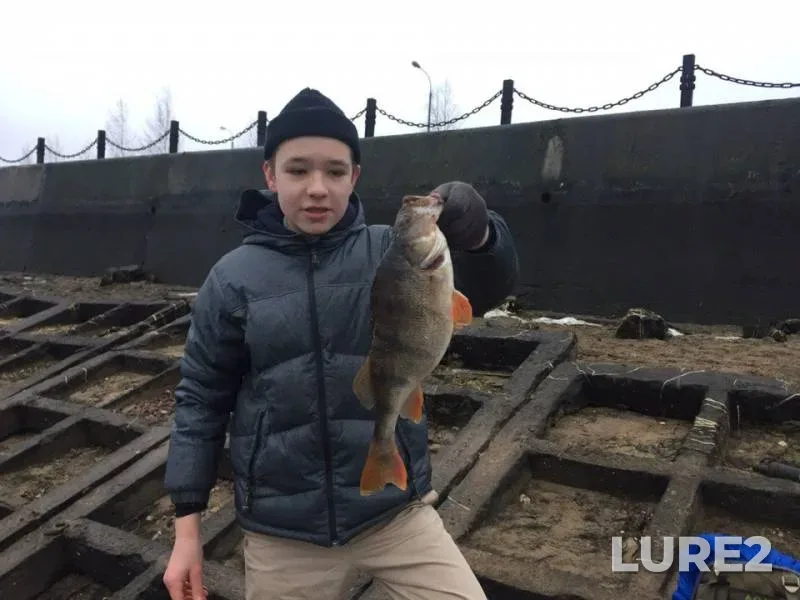 Окунь