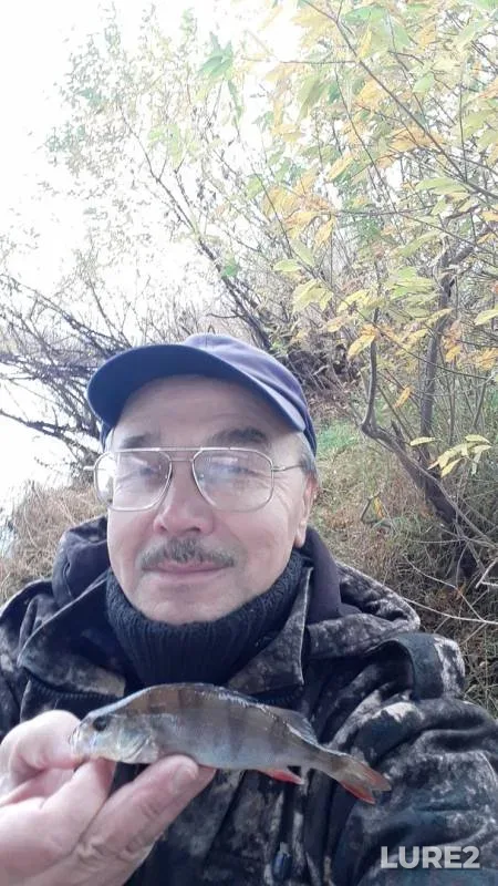 Окунь