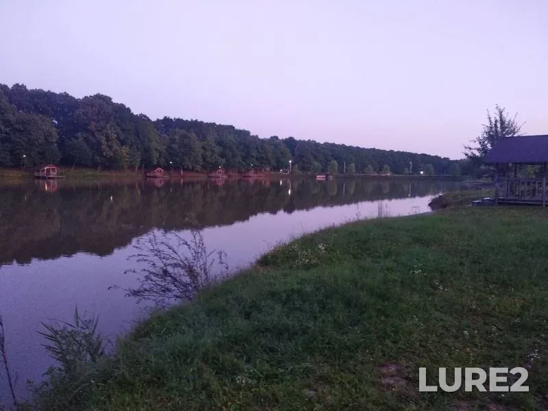 Карп