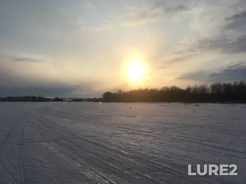 Окунь, Щука