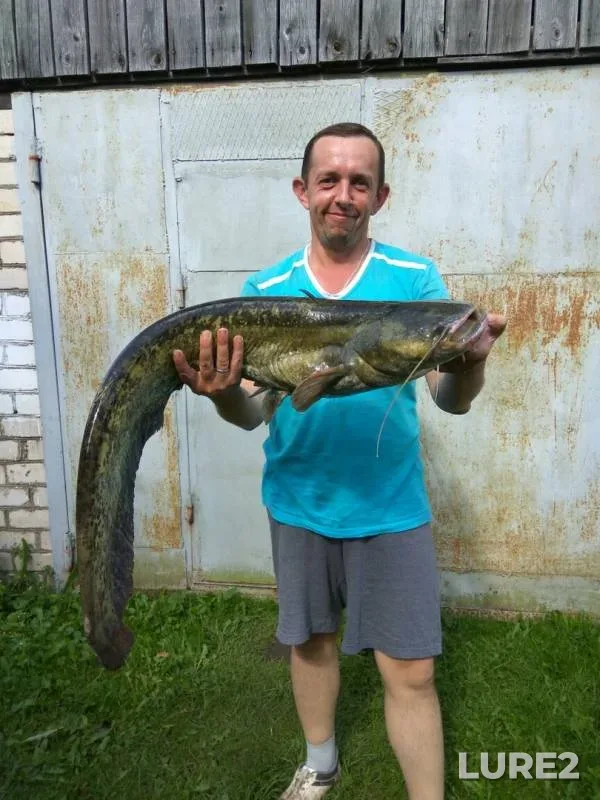 Сом — Слидец, 25 авг. 2019 г.