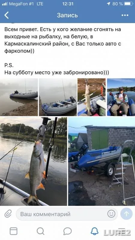 Жерех