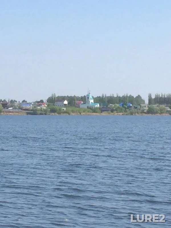 Карась, Плотва