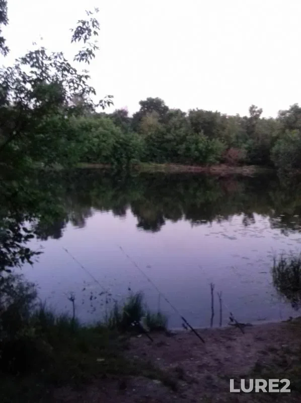 Голавль