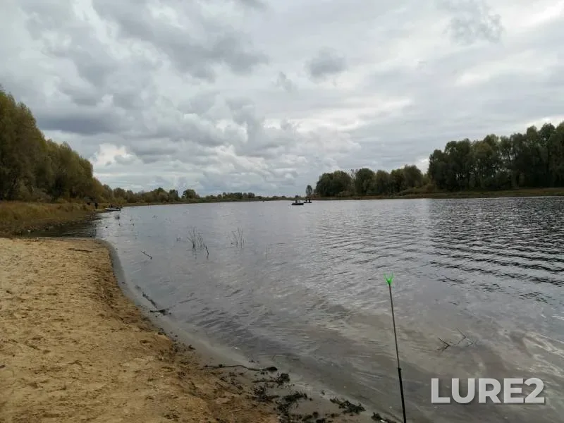Краснопёрка