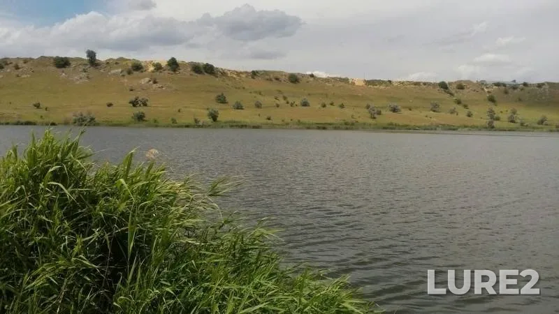 Карп, Карась