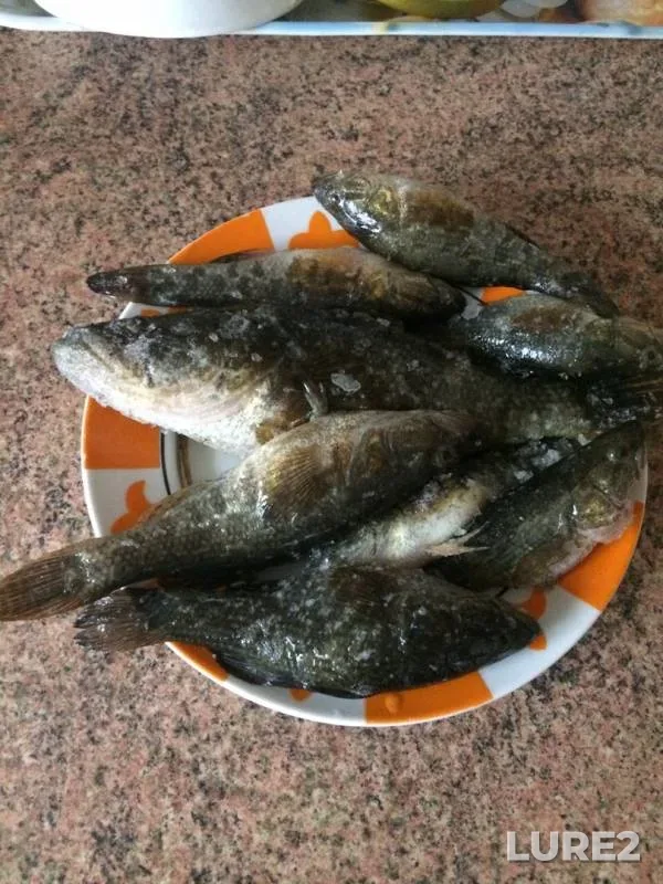 Лещ