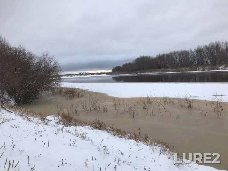 Окунь