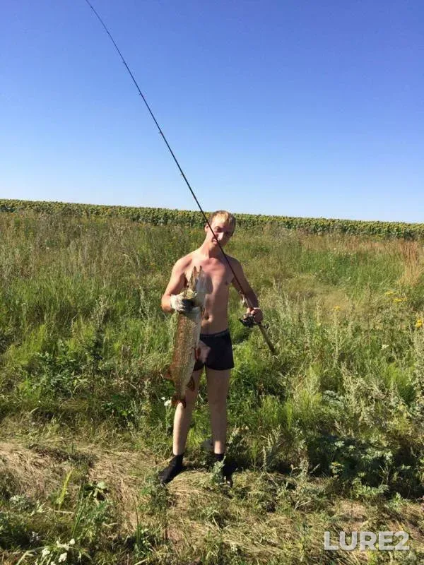 Щука