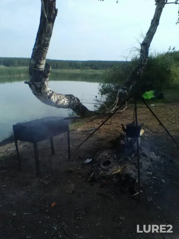 Карп