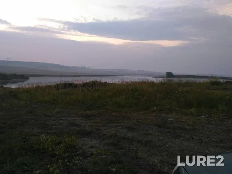 Окунь
