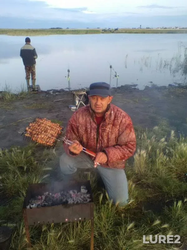 Карась, Щука