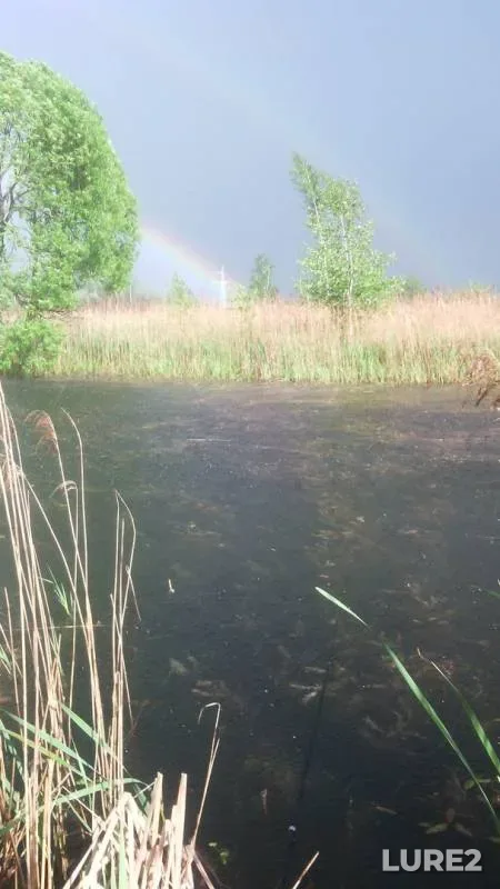 Карась