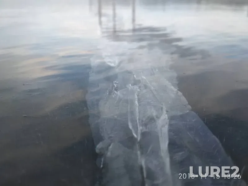 Лещ, Окунь