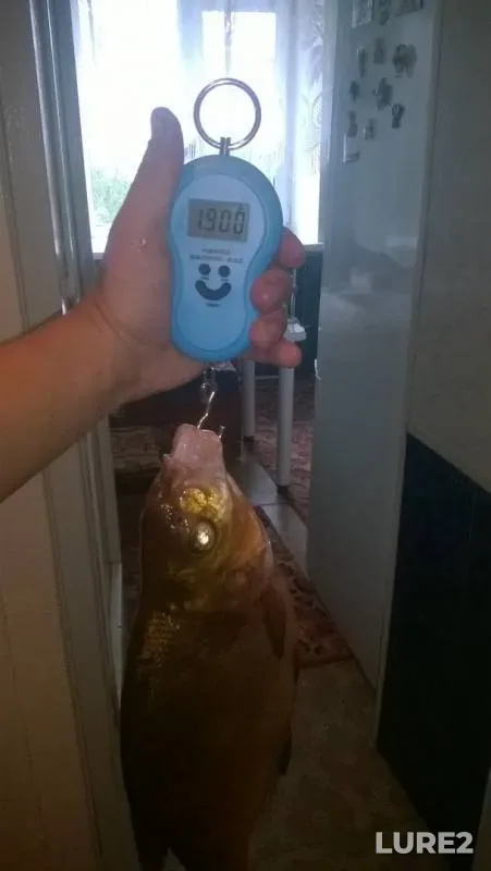 Лещ