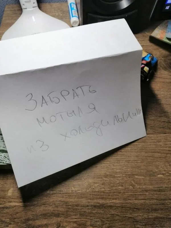 Окунь, Щука