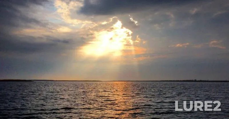 Окунь, Щука