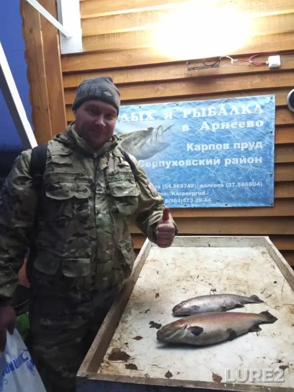 Форель