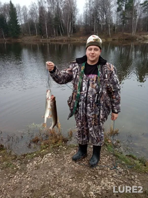 Щука