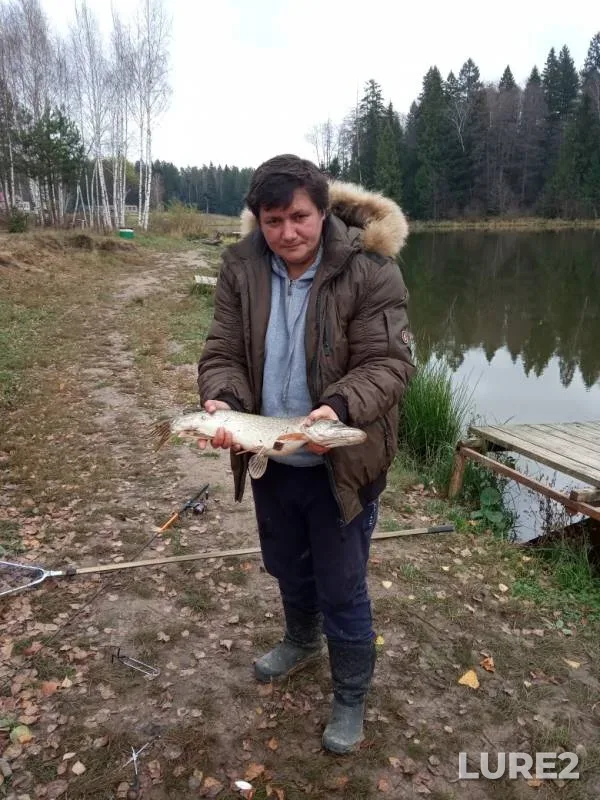 Щука