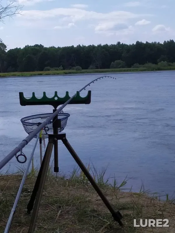 Лещ, Язь