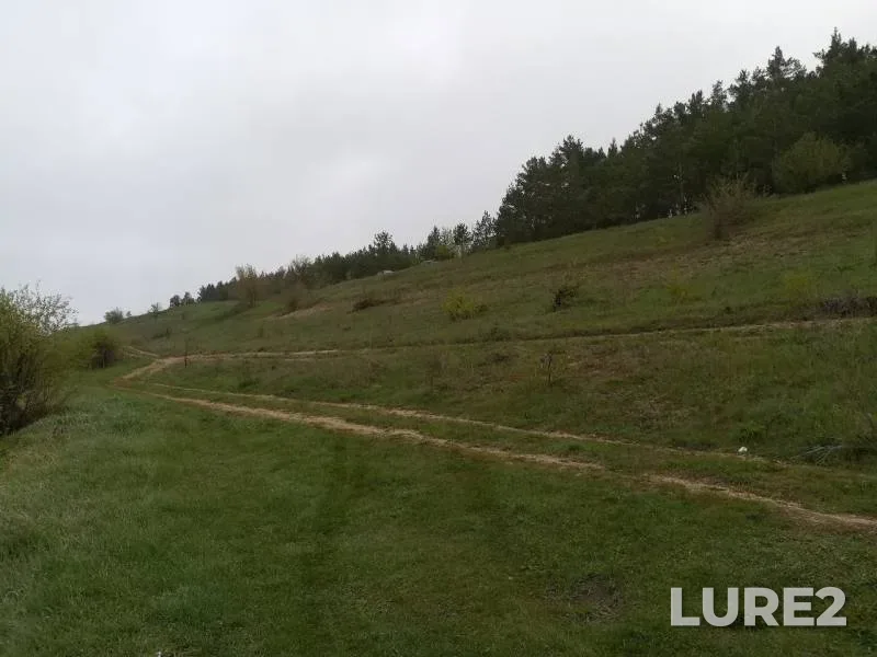 Лещ