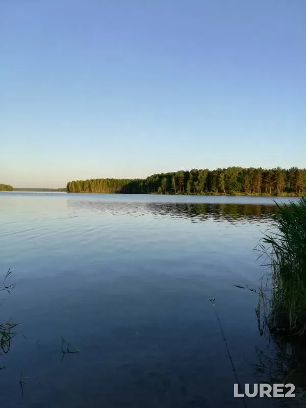 Лещ