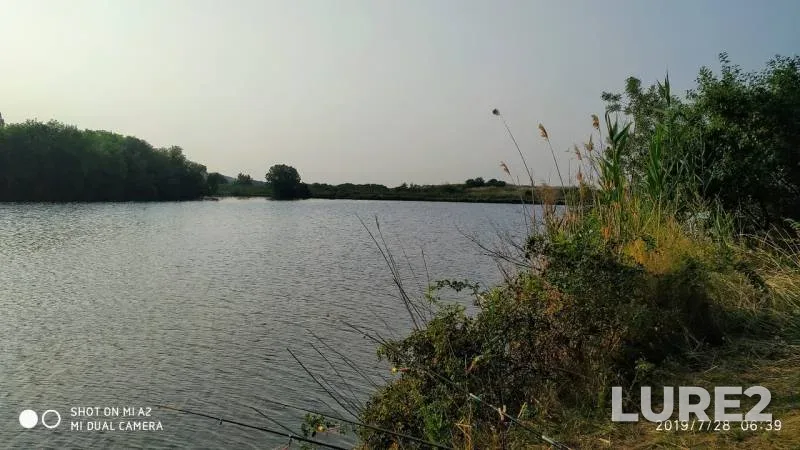 Карп