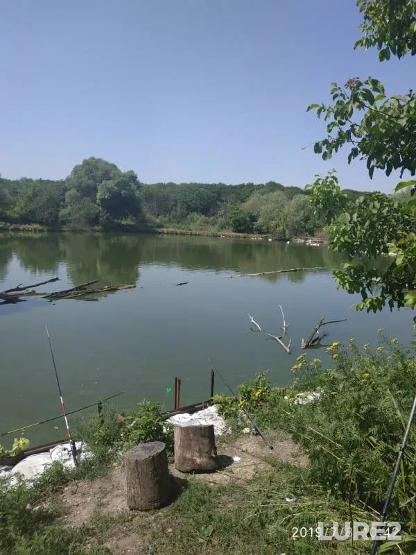 Карп
