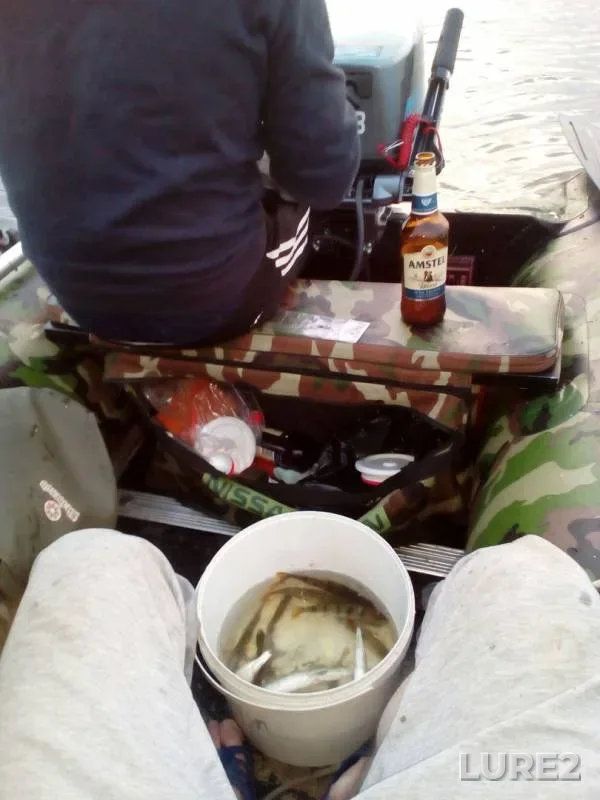 Окунь