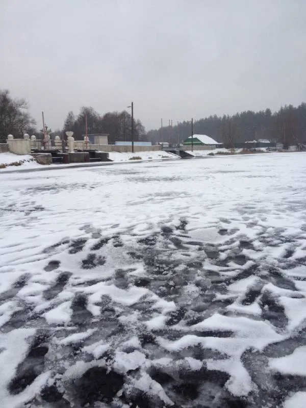 Окунь